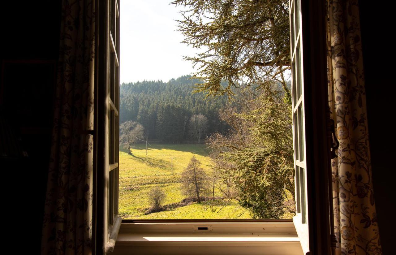 Chateau De Pramenoux Lamure-sur-Azergues Dış mekan fotoğraf